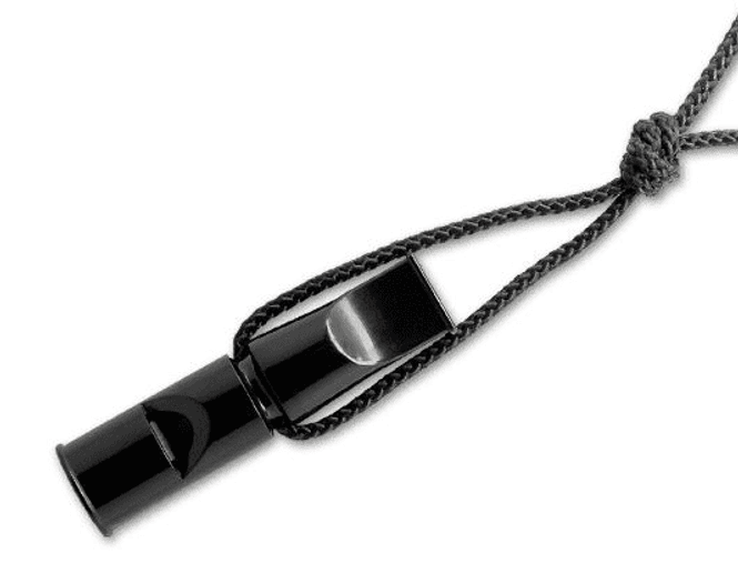 Hovedbilde Dressurfløyte 2 toner